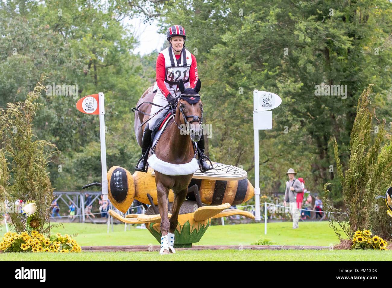 North Carolina, USA. 15 Sep, 2018. Lisa Marie Fergusson. Honneur Me. le peut. Eventing Cross country Day 5. Les Jeux équestres mondiaux. WEG 2018 Tryon. La Caroline du Nord. USA. 15/09/2018. Credit : Sport en images/Alamy Live News Banque D'Images