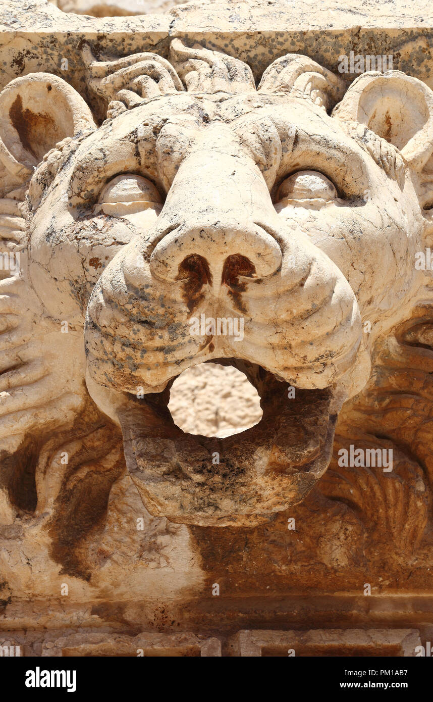 Ruines Romaines de Baalbek au Liban, Lion's Head Banque D'Images