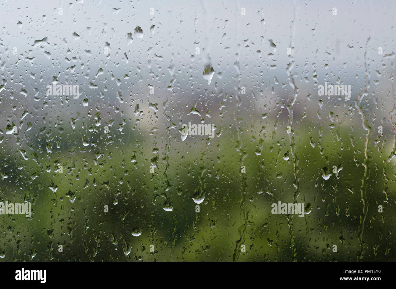 Gouttes de pluie sur la vitre Banque D'Images