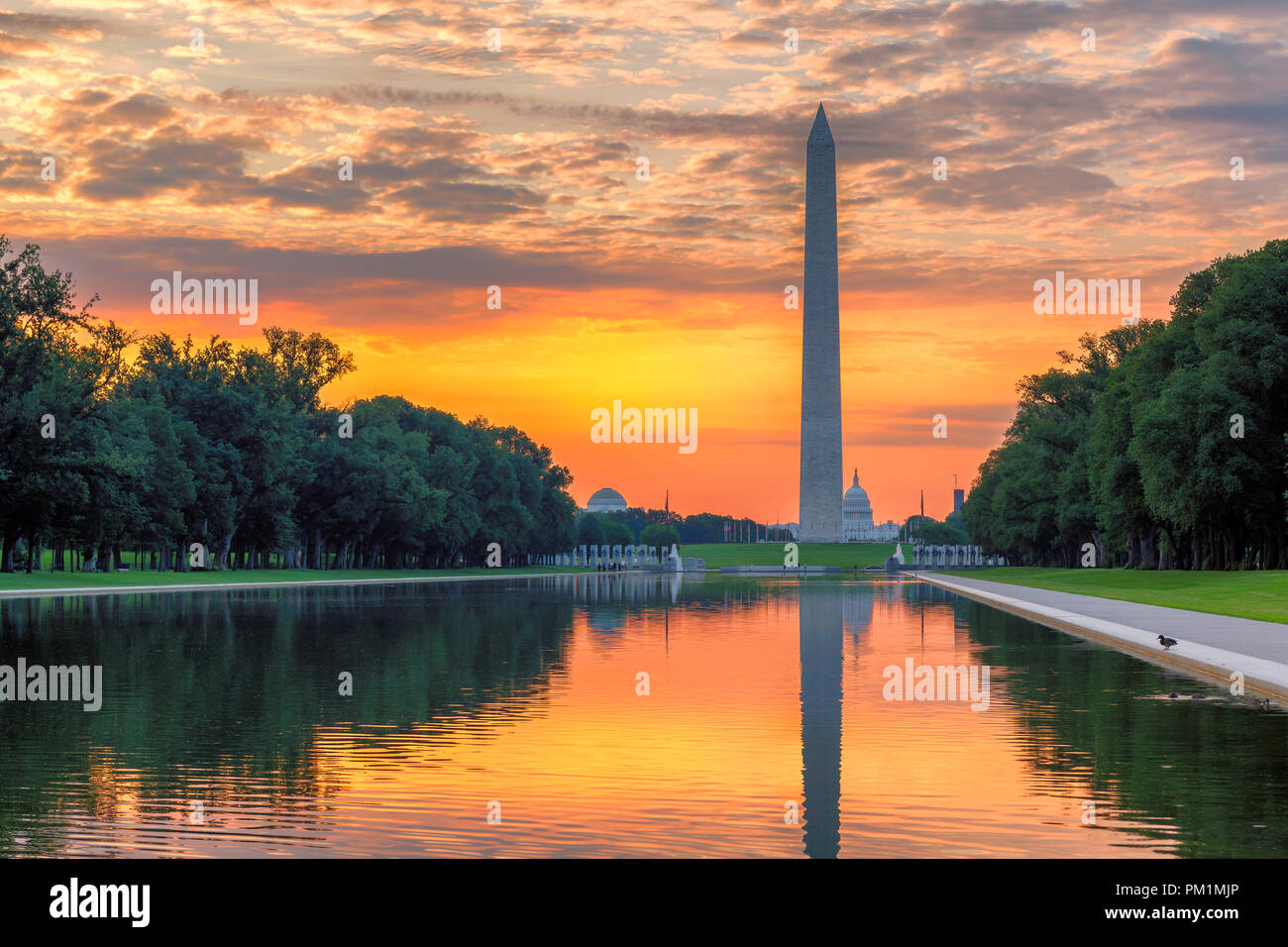 Washington Monument au lever du soleil, Washington DC, USA. Banque D'Images