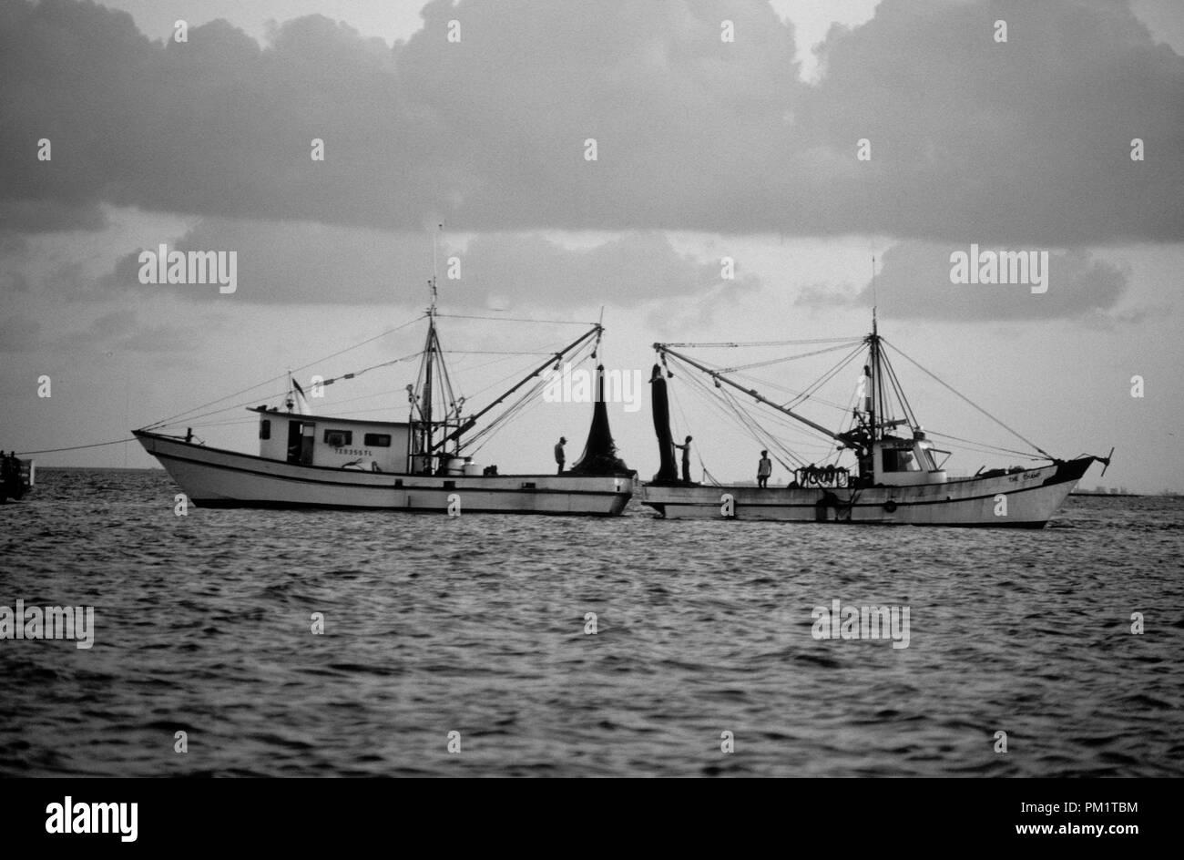 Crevettes de voile sur la côte du golfe des États-Unis attraper des crevettes et des huîtres sauvages. Banque D'Images