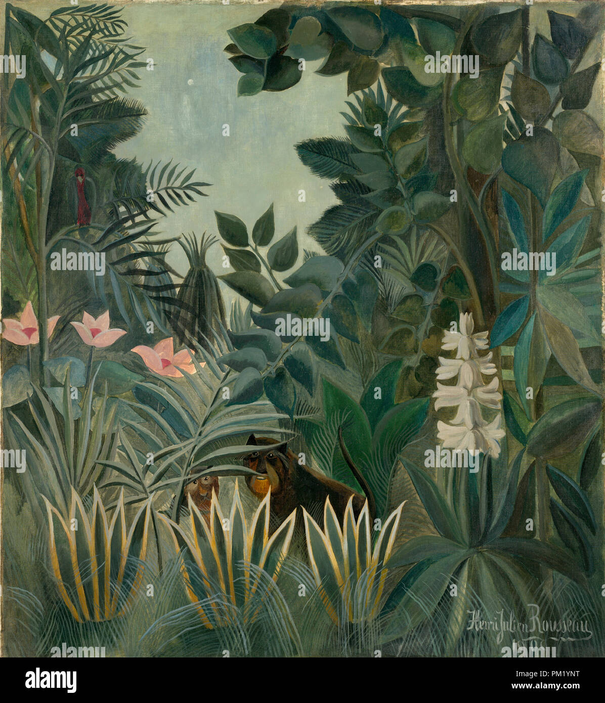 La Jungle équatoriale. En date du : 1909. Dimensions : hors tout : 140,6 x 129,5 cm (55 3/8 x 51 in.) : 151,8 x 141,3 encadrée x 6,9 cm (59 3/4 x 55 5/8 x 2 2/13 in.). Médium : Huile sur toile. Musée : National Gallery of Art, Washington DC. Auteur : Henri Rousseau. Banque D'Images