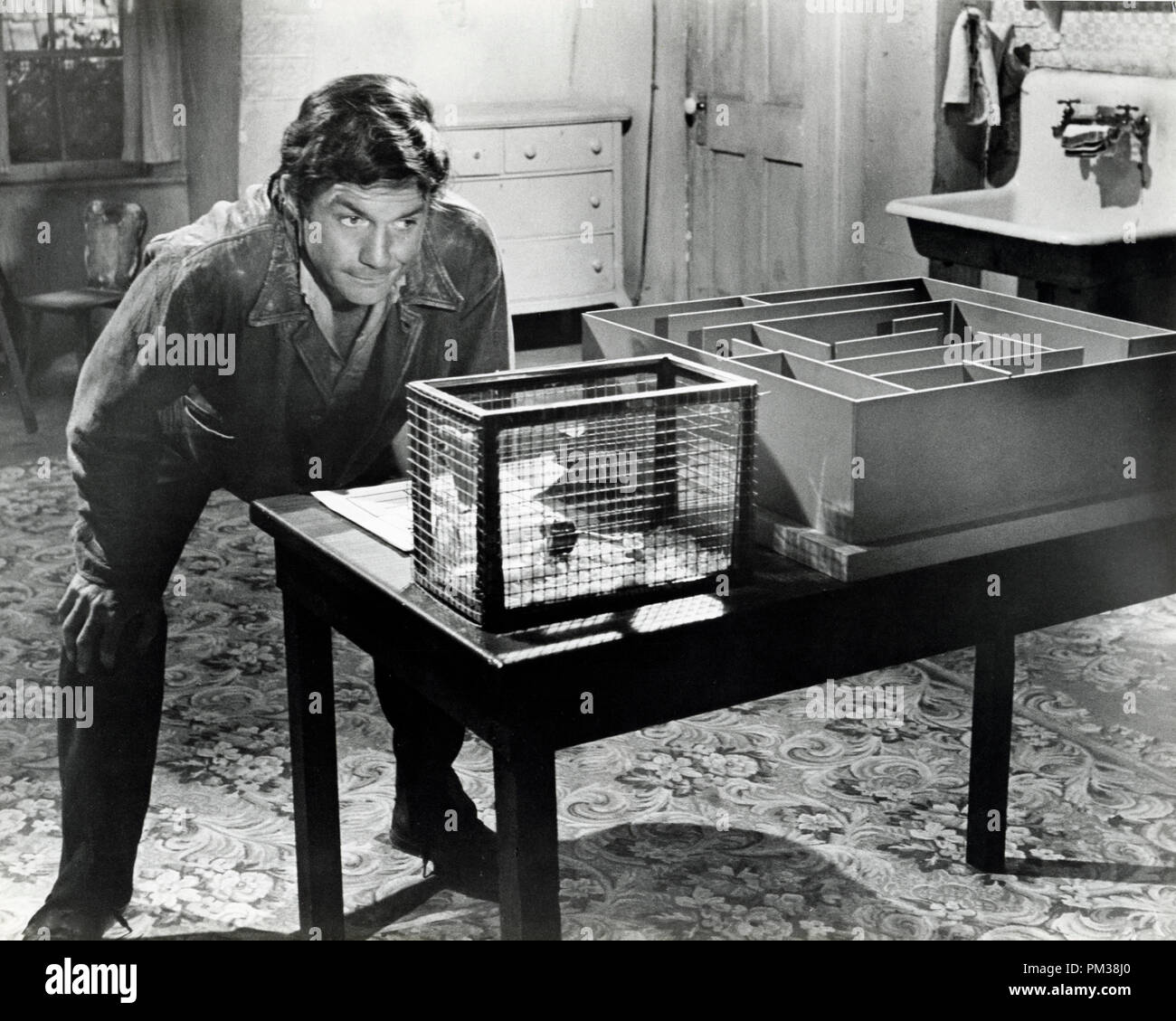 Cliff Robertson dans 'Charly' de référence de dossier 1968 1211 003THA © CCR /Le Hollywood Archive - Tous droits réservés Banque D'Images