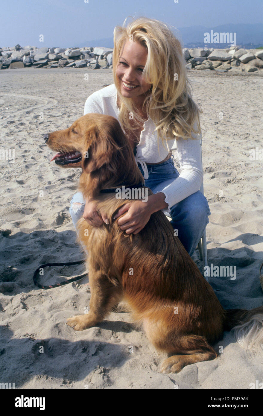 Pamela Anderson, vers 1993. Référence de fichier #  1286 001THA Banque D'Images