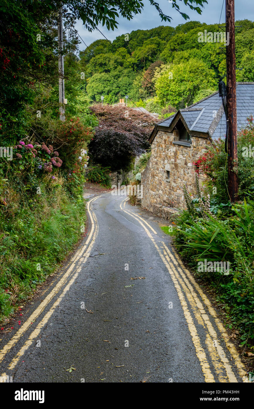 Les lignes jaunes sur la route étroite de mcg-an-Eglwys, près de Dinas Cross, Fishguard, Pemrbrokeshire Banque D'Images