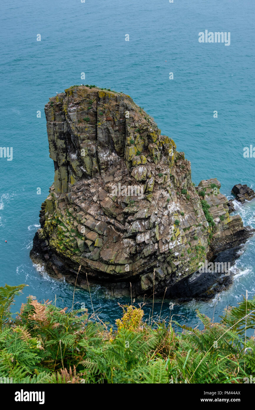 Rock, au large de l'aiguille, près de Tête Ddin mcg-an-Eglwys, près de Dinas Cross, Fishguard, Pemrbrokeshire Banque D'Images