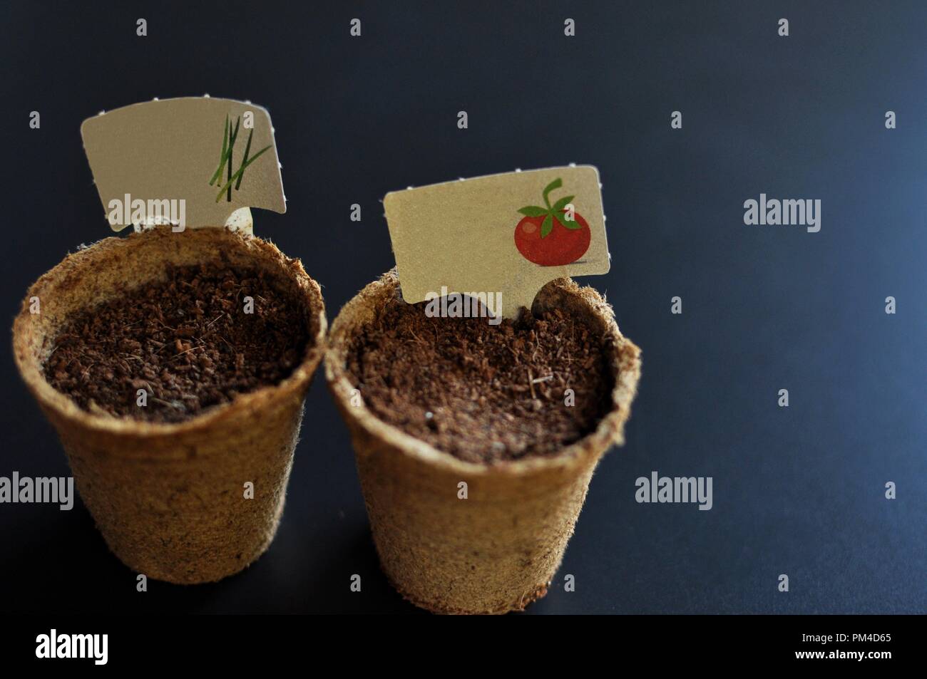 Deux pots avec du sol avec des plaques de l'indicateur sur fond noir Banque D'Images