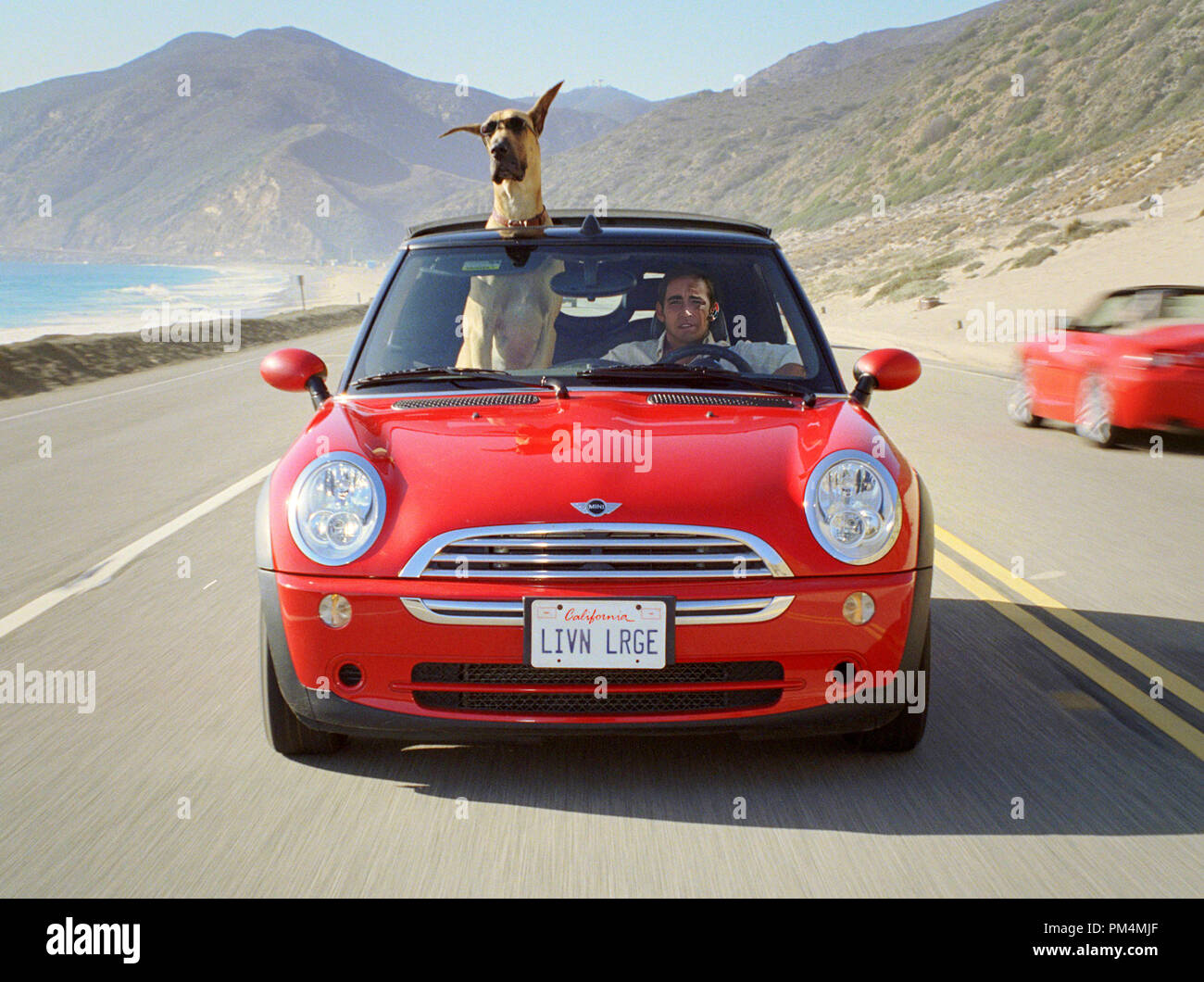 Marmaduke est Livin' large à Orange County, en Californie, avec sa propriétaire Phil Winslow (Lee Pace), 2010. Banque D'Images