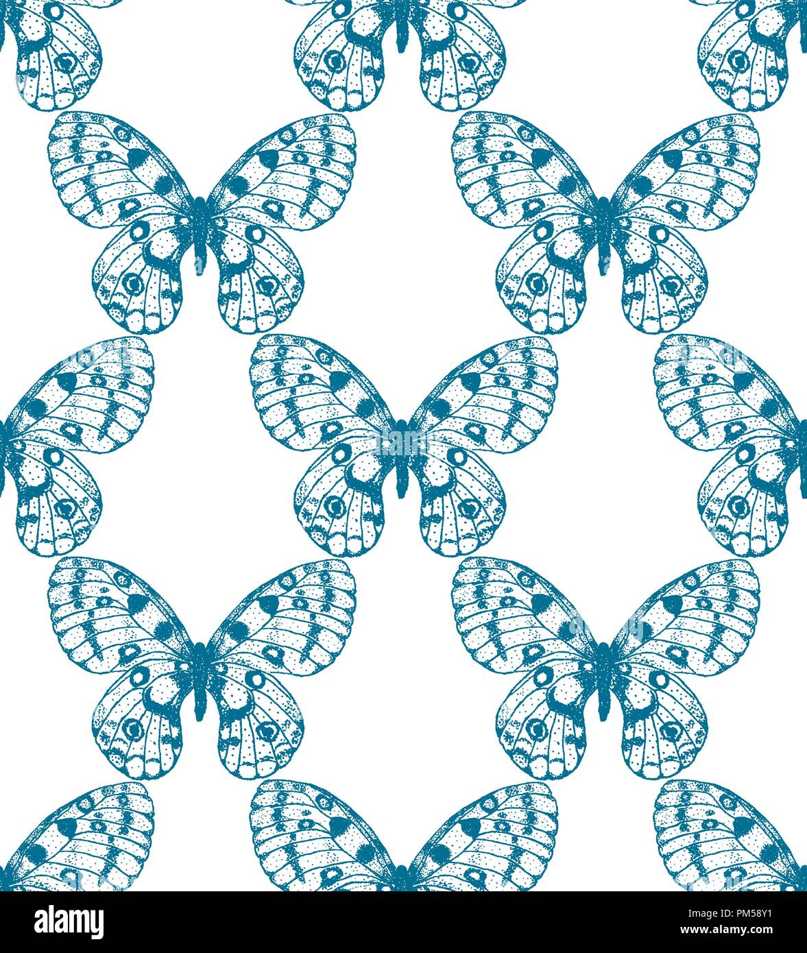 Modèle de bleu transparent Vector hand drawn papillon sur fond blanc. Parnassius apollo historique Illustration de Vecteur