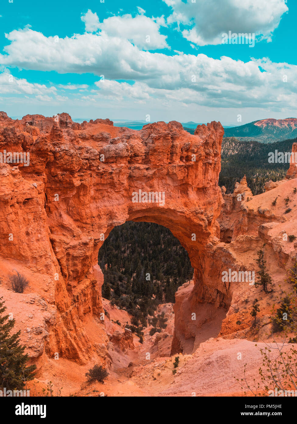 Belle promenade dans la région de Bryce canyon avec soleil et ciel clair. Banque D'Images