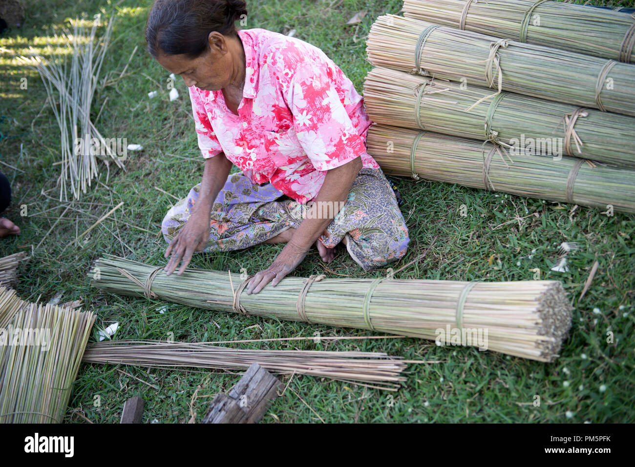 La Thaïlande, Patthalung, Tale noi, de tri, de séparation et d'attacher des joncs gris séché ou carex (Lepirona articulata) Banque D'Images