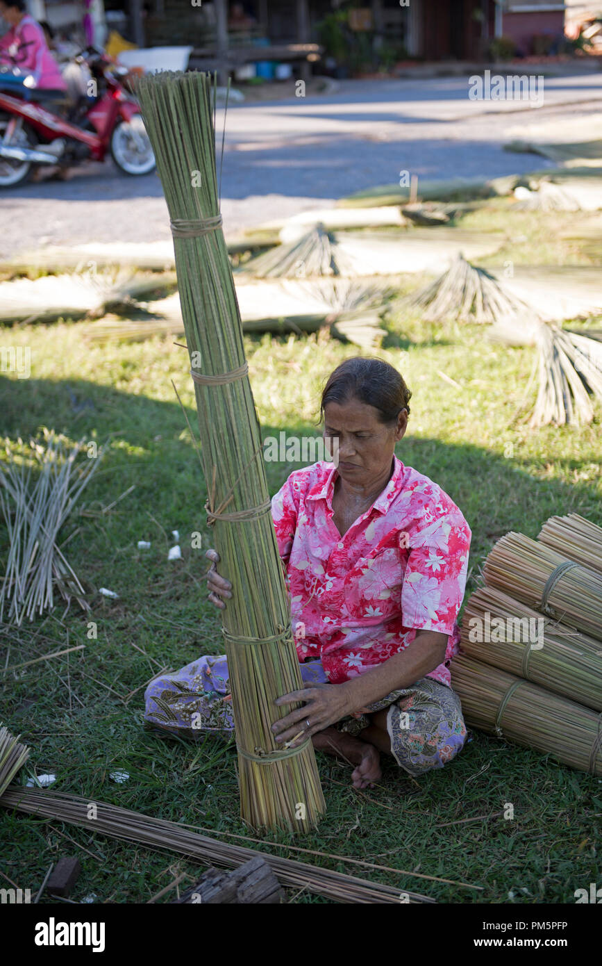 La Thaïlande, Patthalung, Tale noi, de tri, de séparation et d'attacher des joncs gris séché ou carex (Lepirona articulata) Banque D'Images