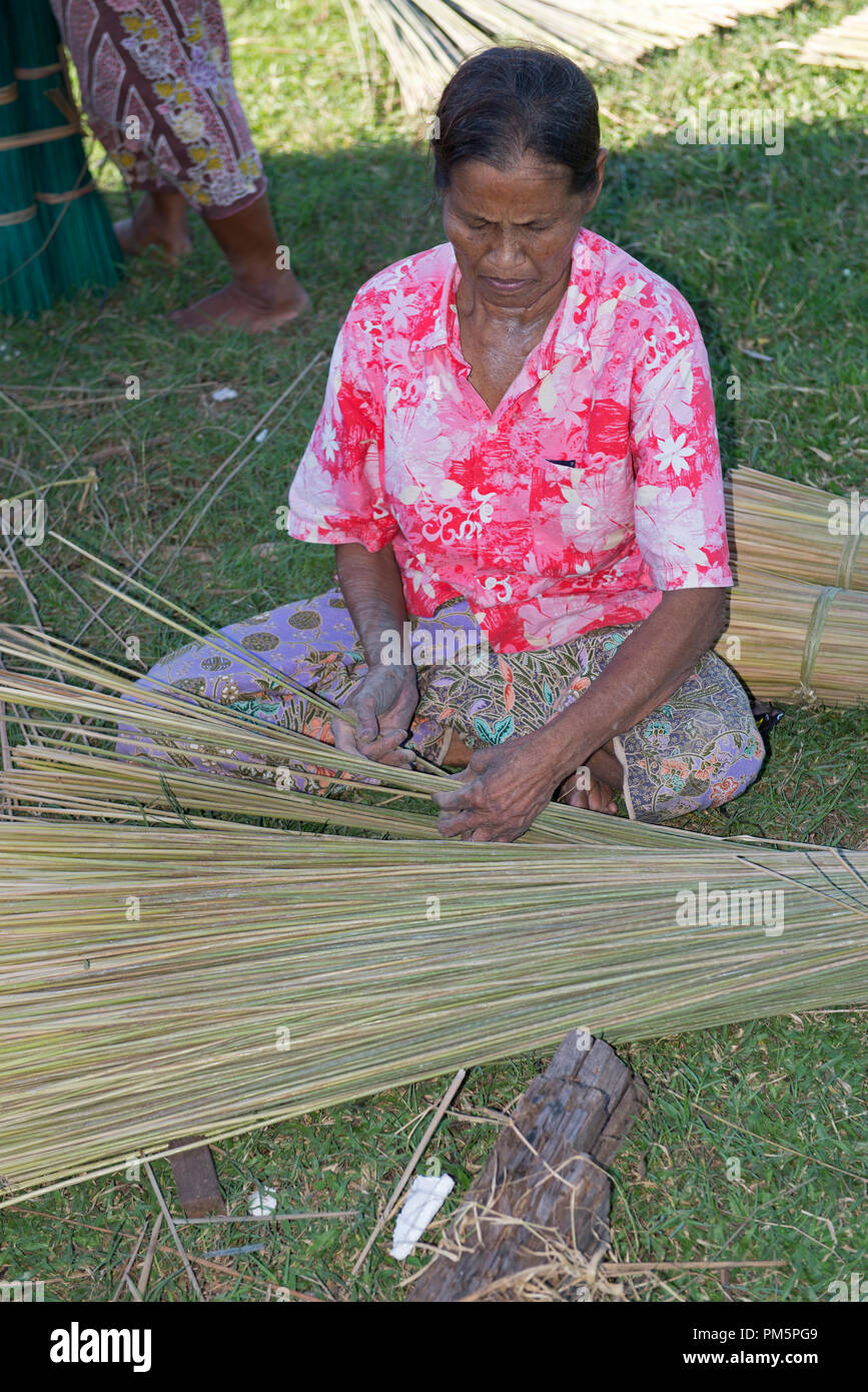La Thaïlande, Patthalung, Tale noi, de tri, de séparation et d'attacher des joncs gris séché ou carex (Lepirona articulata) Banque D'Images