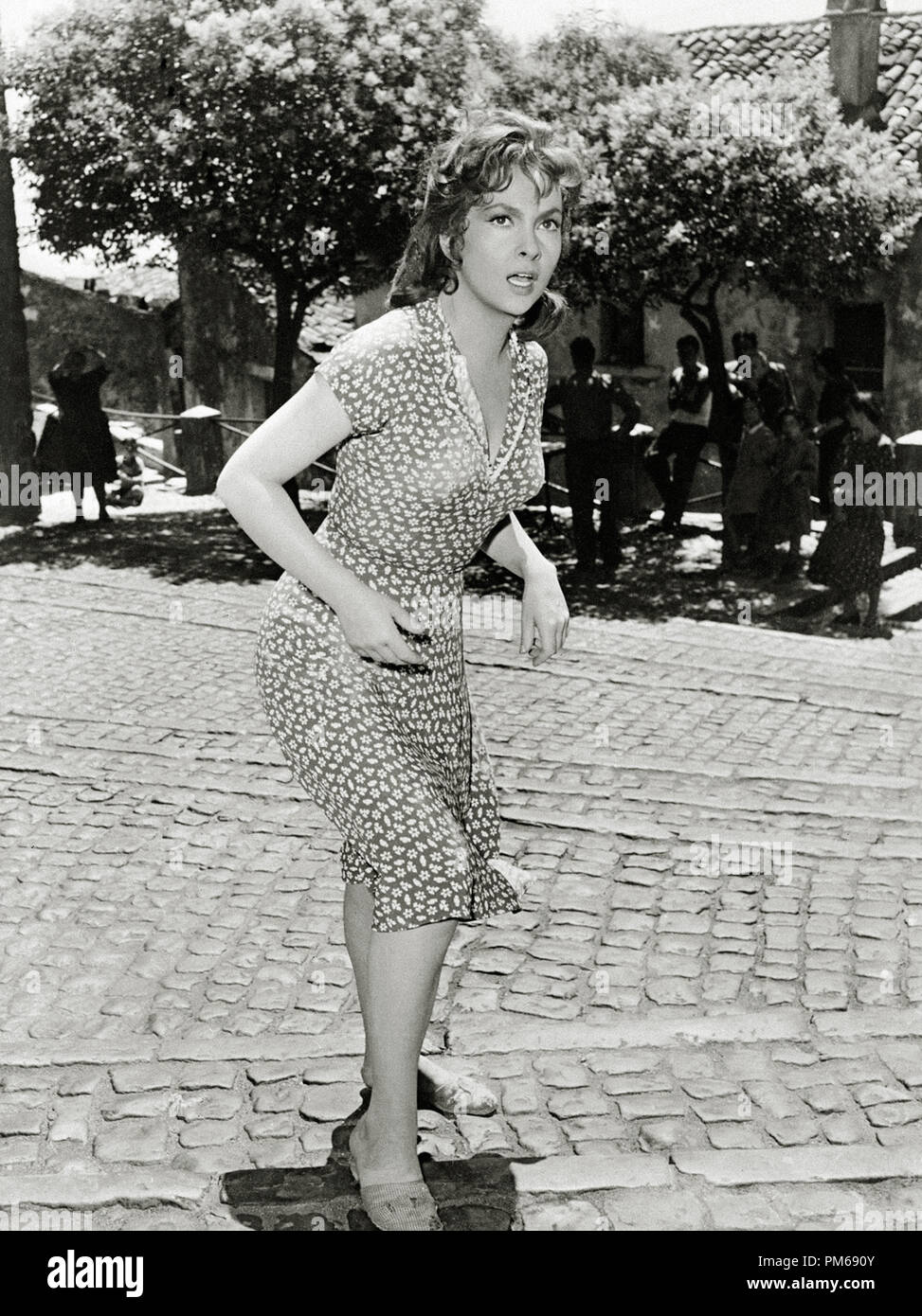 Gina Lollobrigida, "du pain, de l'amour et les rêves" de référence de dossier 31316 1953 096THA Banque D'Images