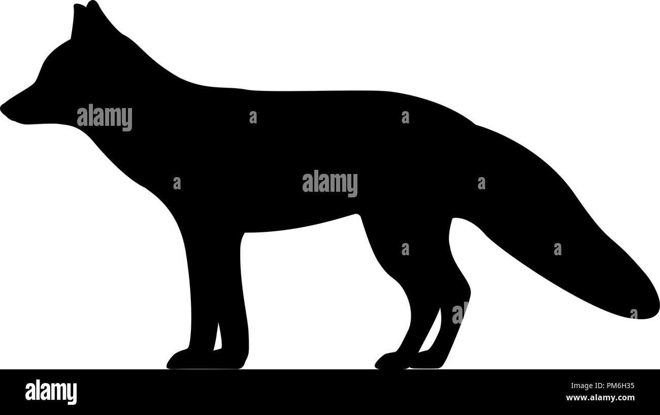 Vector illustration d'une silhouette black fox Illustration de Vecteur