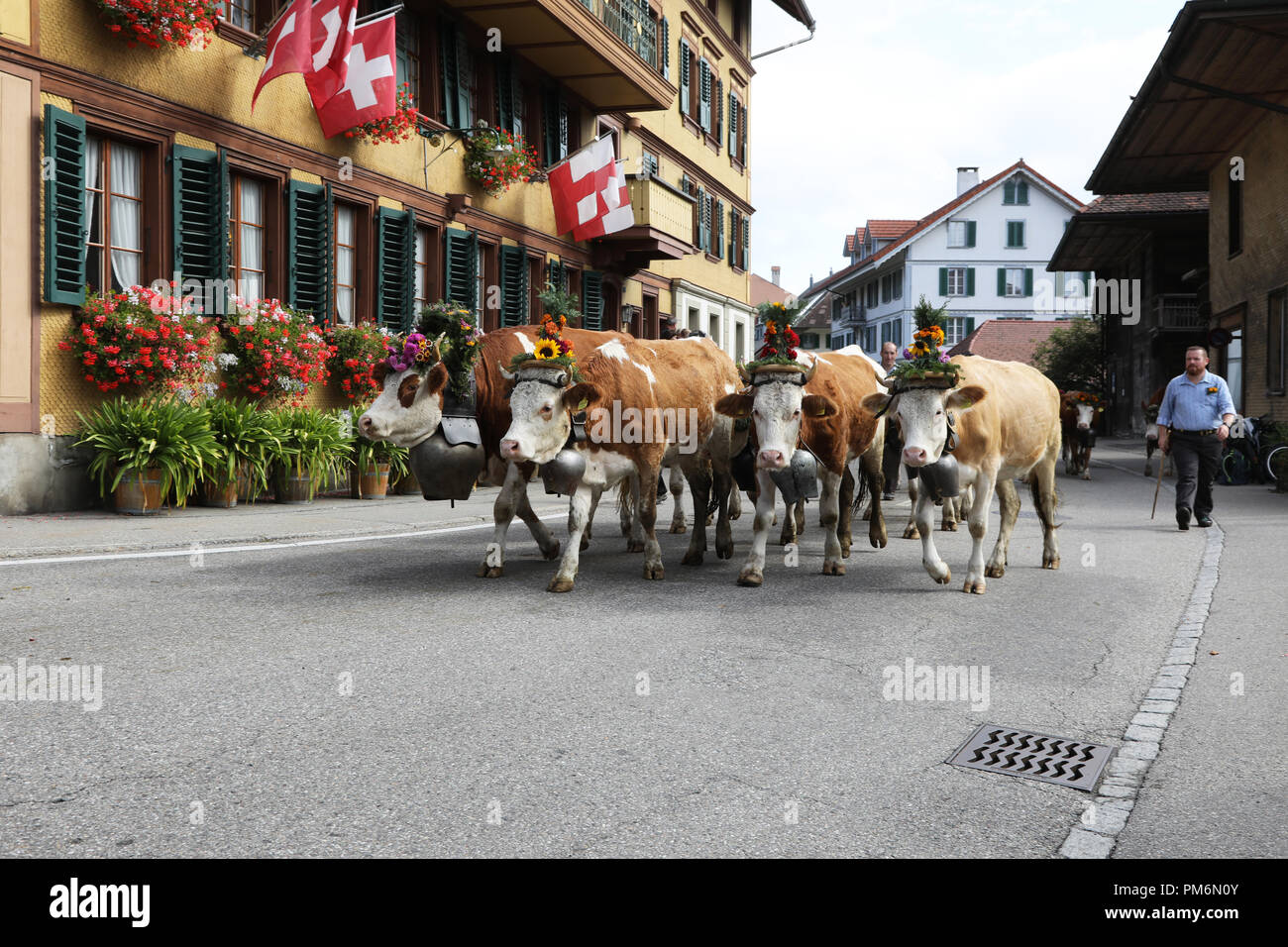 Sumiswald, Suisse, le 14 septembre 2018 : défilé dans le village Sumiswald dans le canton de Berne de la cérémonie d'automne de bétail de montagne Banque D'Images