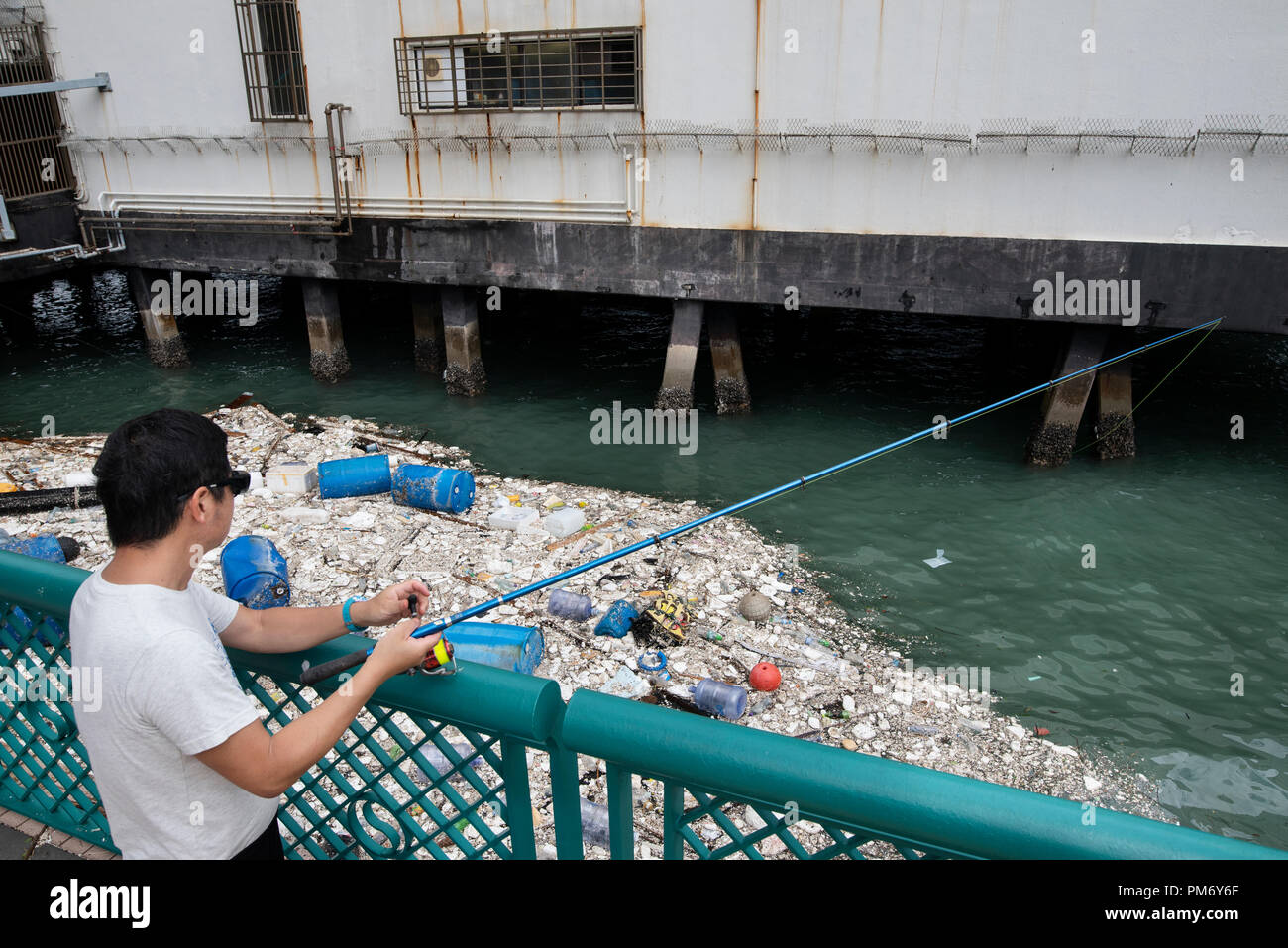 Un poissons résidants un jour après le super typhon Mangkhut a causé de grands dommages à Hong Kong. Le super typhon Mangkhut a transmis ensuite à Hong Kong le 16 septembre causant des dommages de grande envergure autour de la ville, il y a 432 personnes blessées en raison de la tempête avec 2 toujours dans un état critique. Banque D'Images