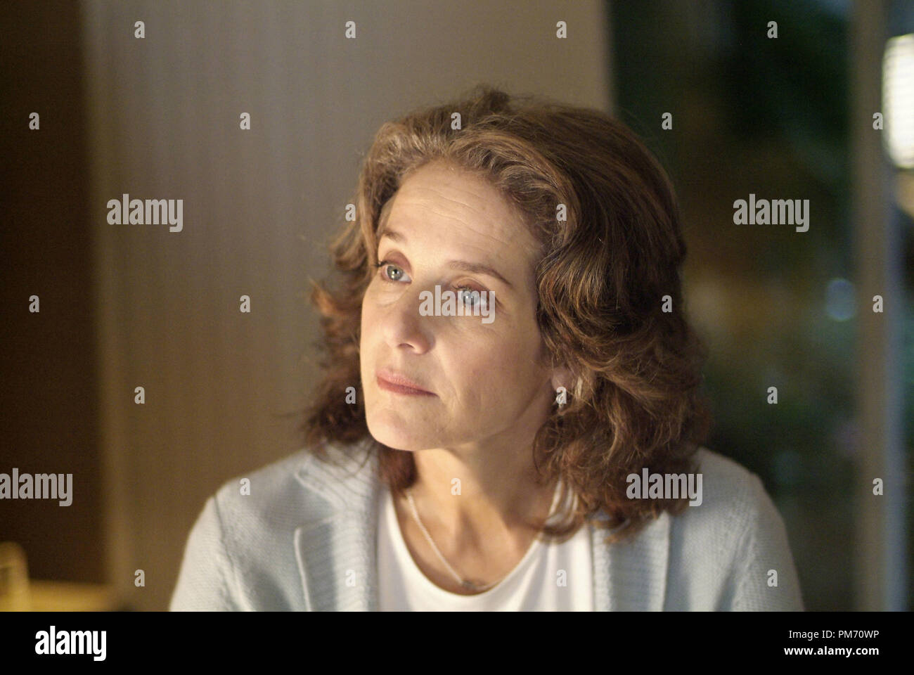 Photo du film de 'Rachel se marier' Debra Winger © 2008 Sony Pictures Classics Crédit Photo : Bob Vergara Référence de fichier #  30755099THA pour un usage éditorial uniquement - Tous droits réservés Banque D'Images