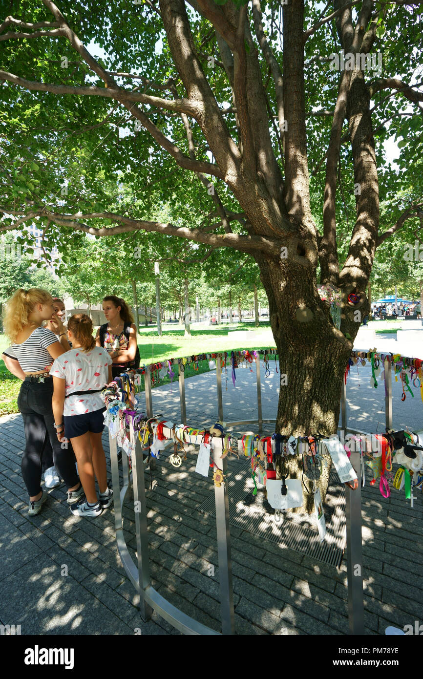 Les visiteurs qui cherchent à l'arbre survivant de 9/11attaques terroristes au Ground Zero.et Mémorial National du 11 septembre.museum.Manhattan New York City.USA Banque D'Images