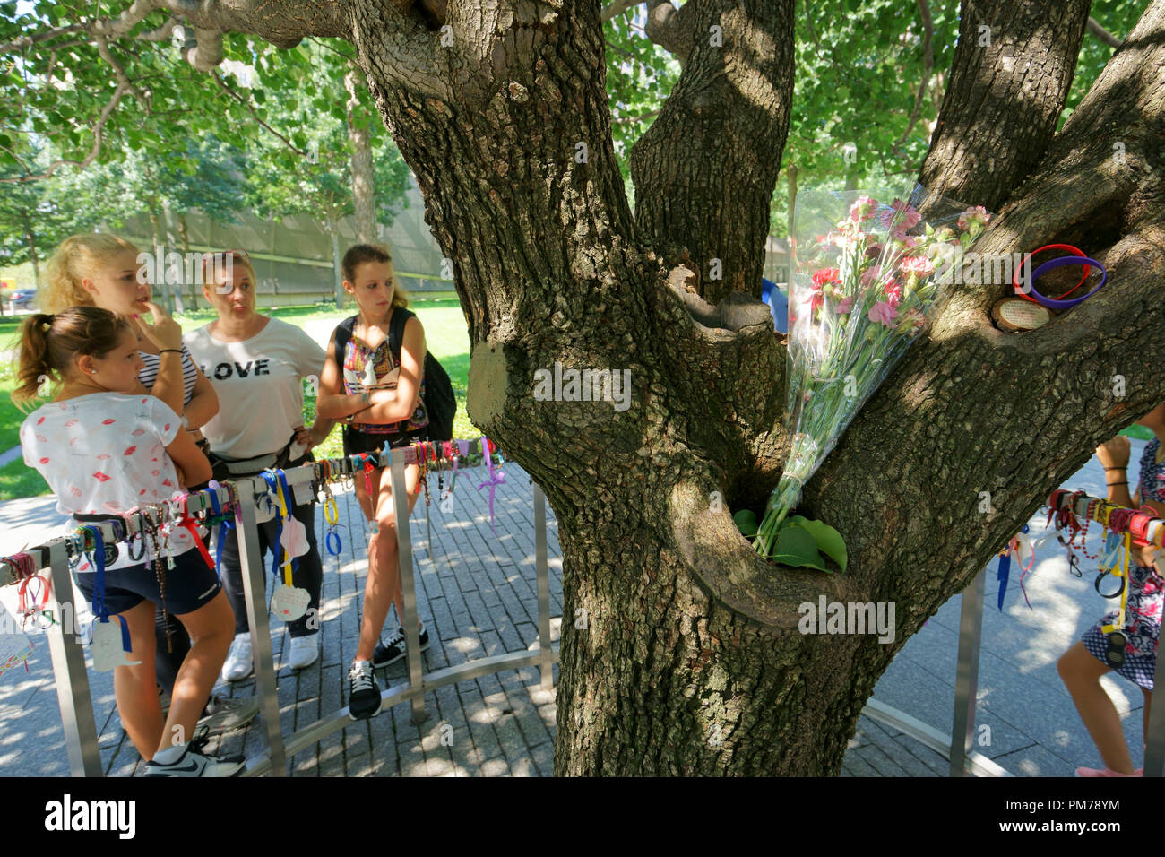 Les visiteurs qui cherchent à l'arbre survivant de 9/11attaques terroristes au Ground Zero.et Mémorial National du 11 septembre.museum.Manhattan New York City.USA Banque D'Images