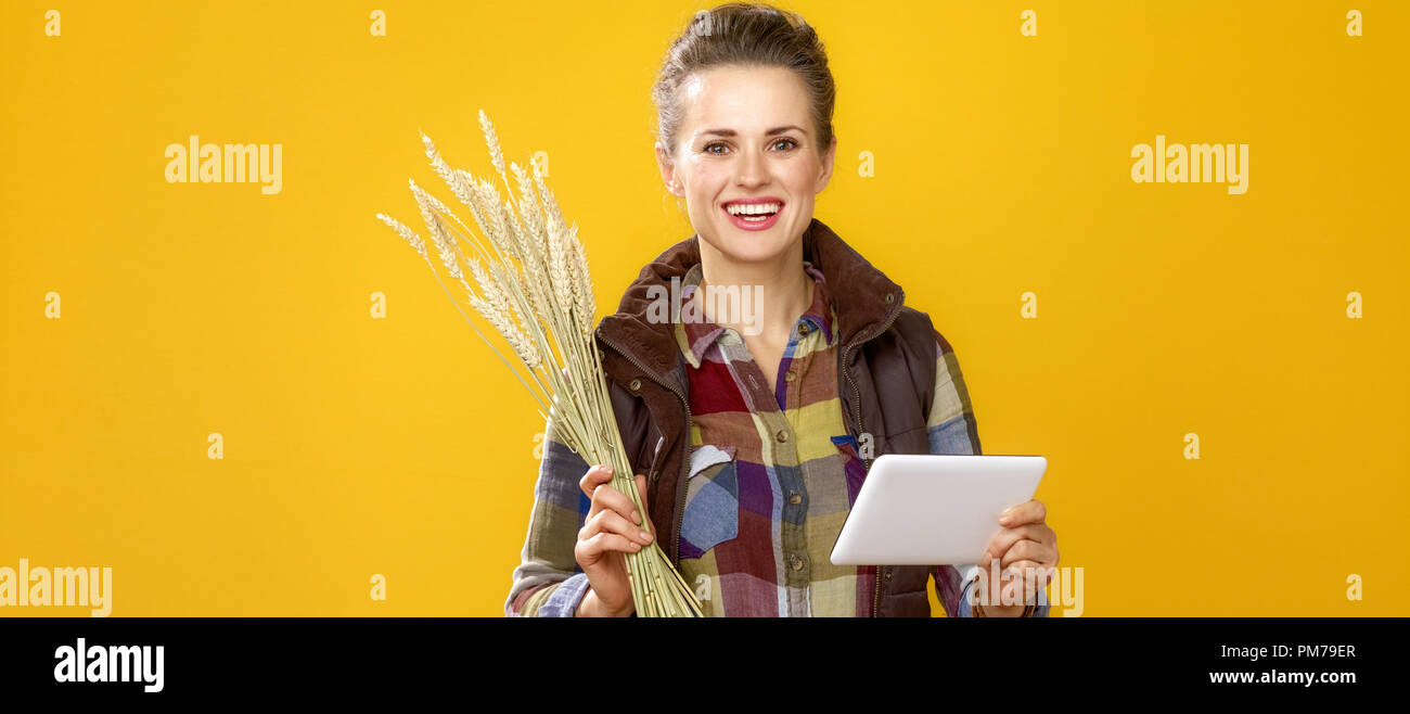Des aliments sains à votre table. happy young woman farmer en chemise à carreaux isolé sur fond jaune avec des épillets de blé à l'aide de Tablet PC Banque D'Images