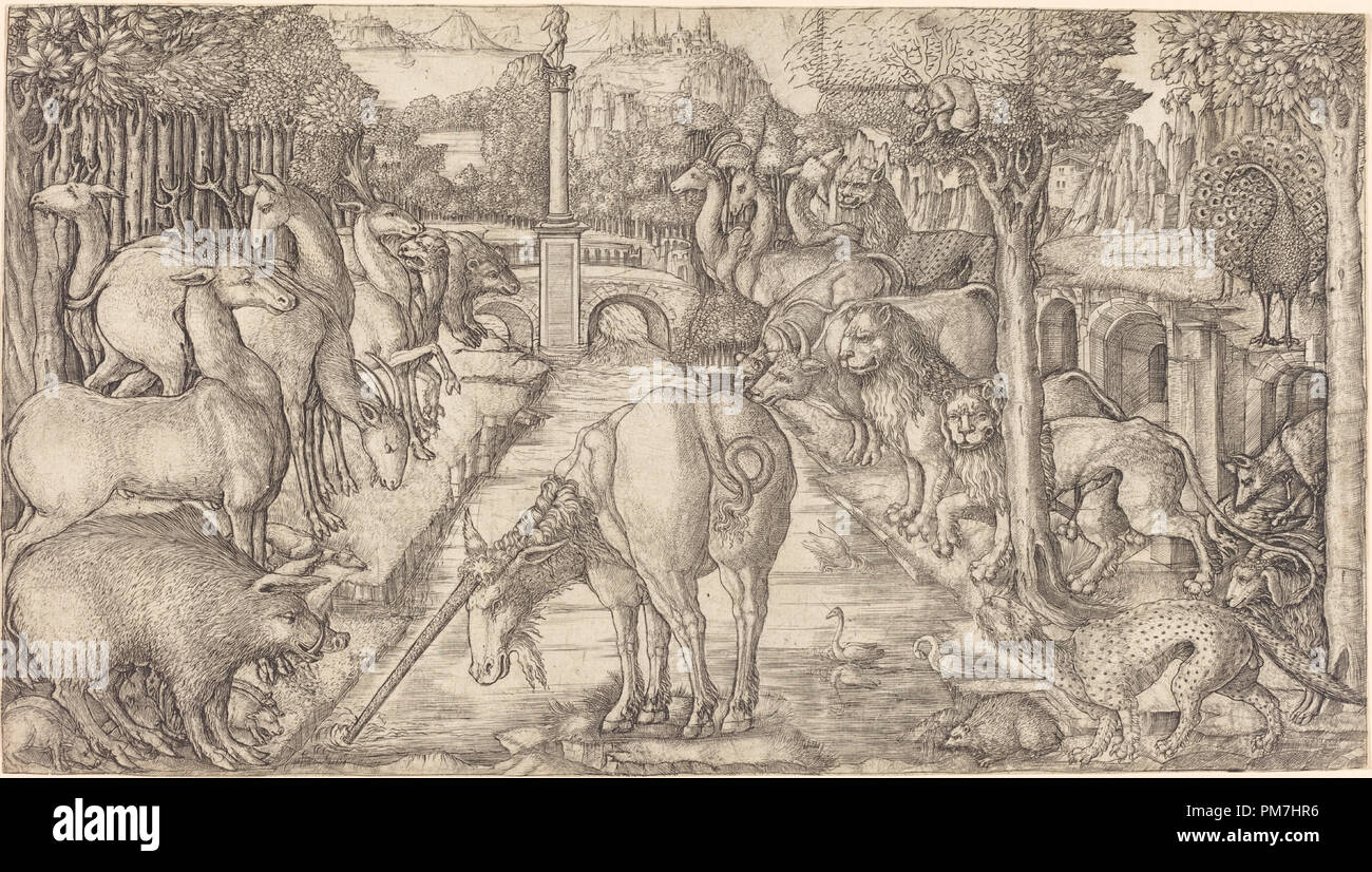 Licorne Purifie Banque d'image et photos Alamy