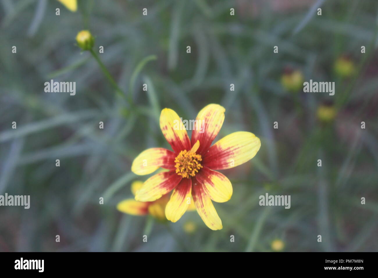 Secret Garden Banque D'Images