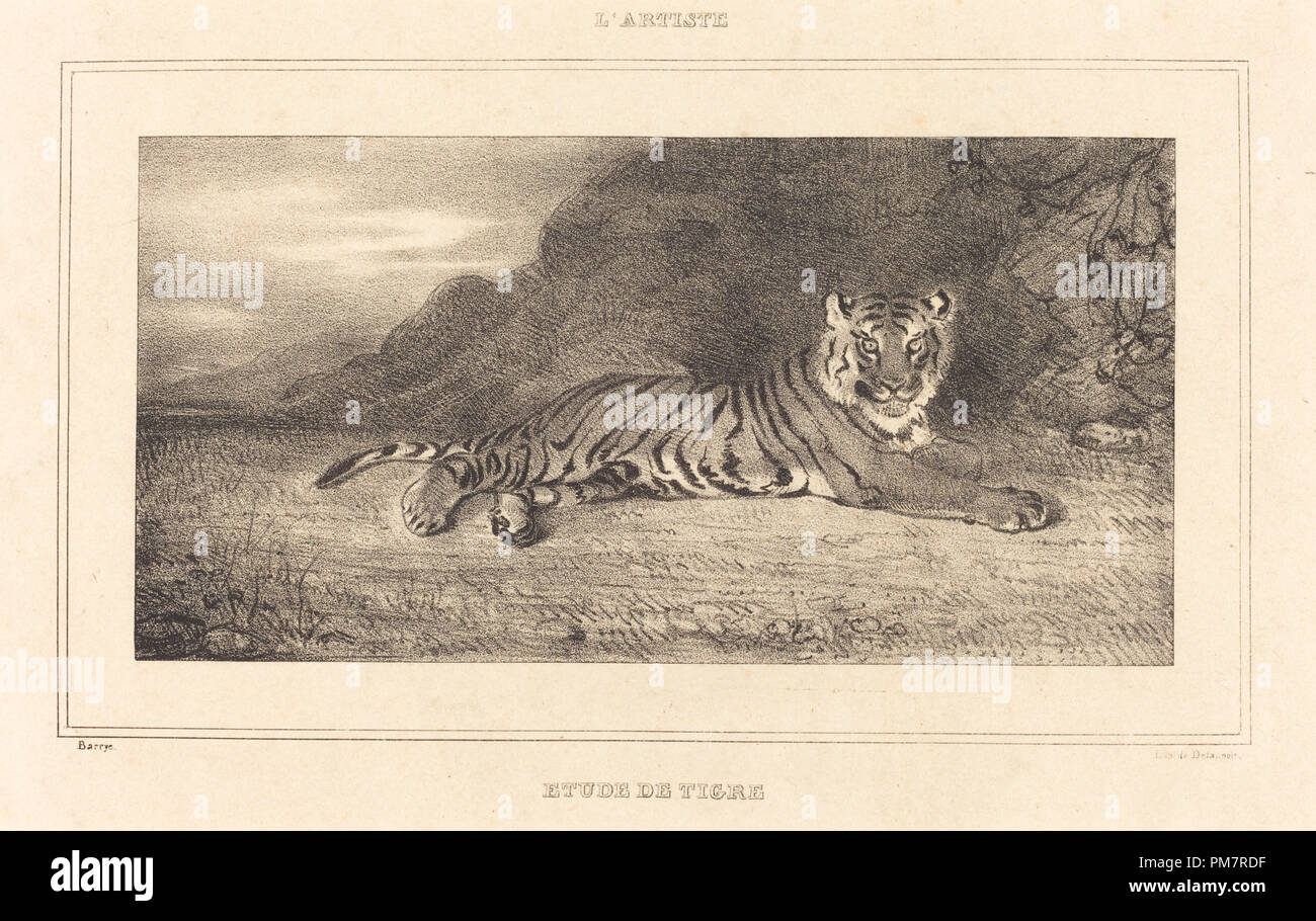 Étude d'un tigre. Musée : National Gallery of Art, Washington DC. Auteur : Antoine-Louis Barye. Banque D'Images
