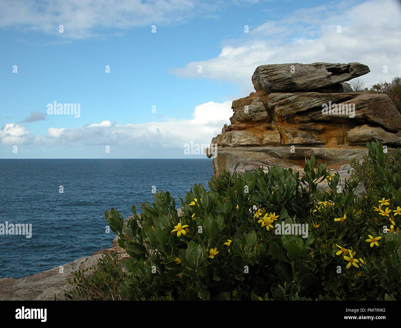 Dunbar Chef : sandstone bluff avec vue sur l'océan à l'écart, Watsons Bay, Sydney, NSW, Australiacliffs Banque D'Images