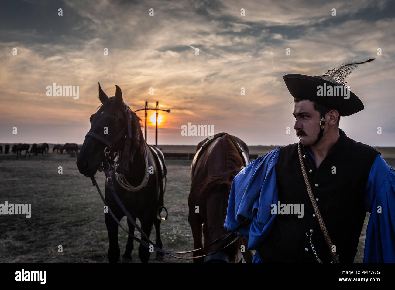 Wrangler hongrois avec ses chevaux pendant le coucher du soleil dans la région d'Hortobagy Banque D'Images