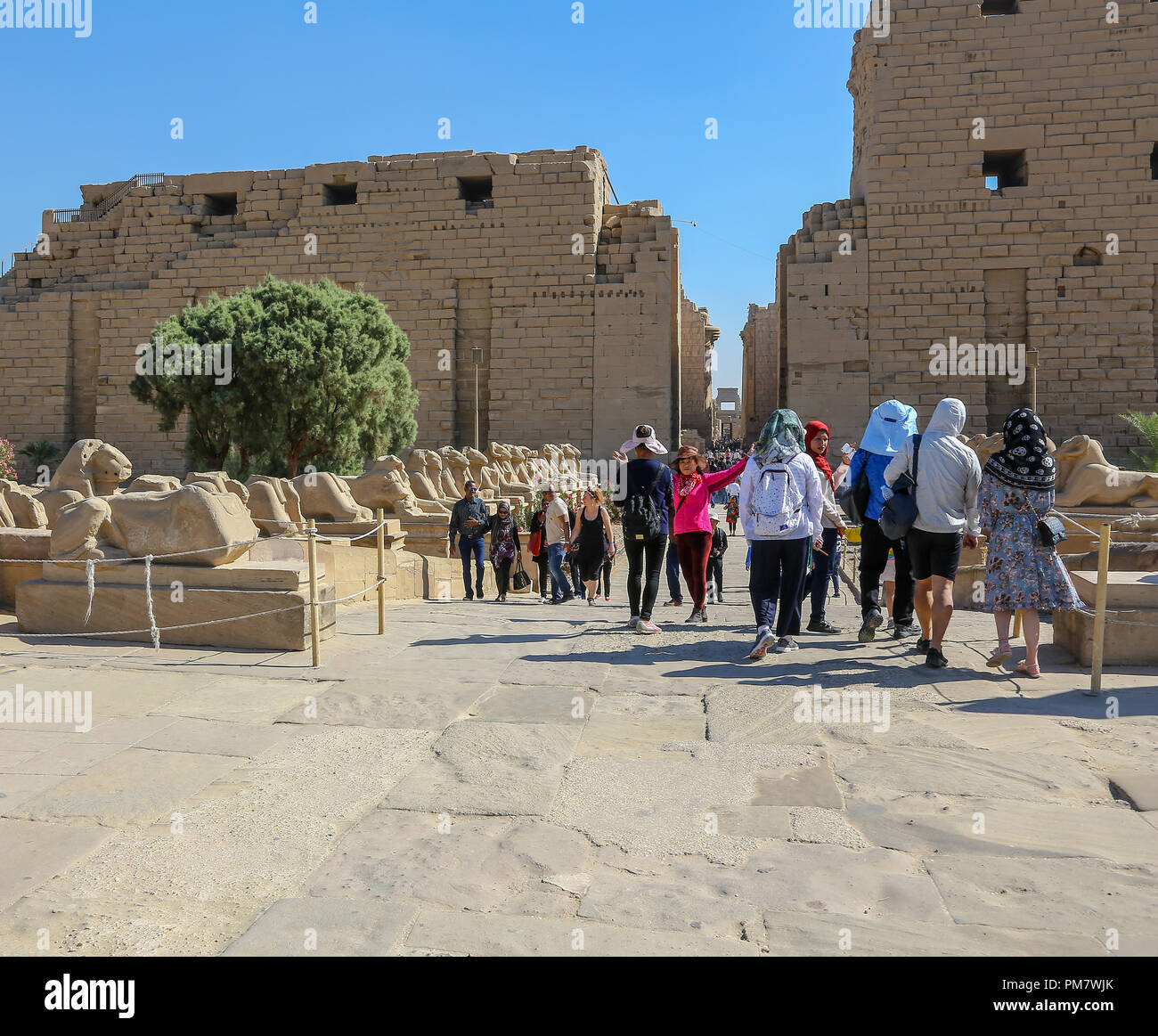 Ram Head Sphinx au premier pylône ou entrée du complexe du temple de Karnak, communément connu sous le nom de Karnak, Louxor, Egypte Banque D'Images