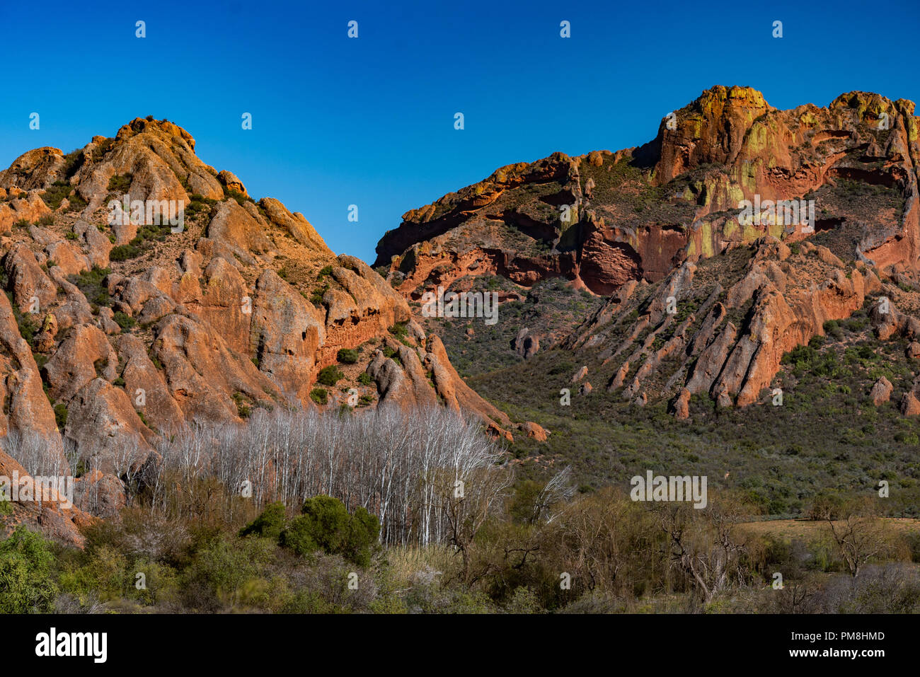 Collines de Redstone, Klein Karoo, Afrique du Sud Banque D'Images