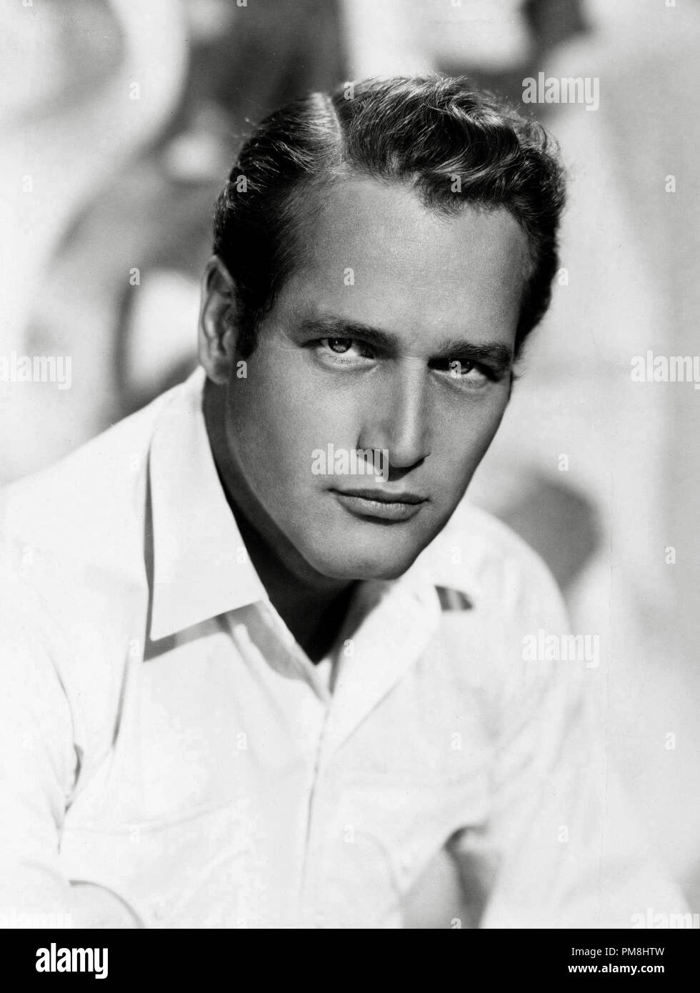 (Archivage classique du cinéma - Rétrospective) Paul Newman Paul Newman, vers 1960. Référence #  31510 Fichier 010THA Banque D'Images