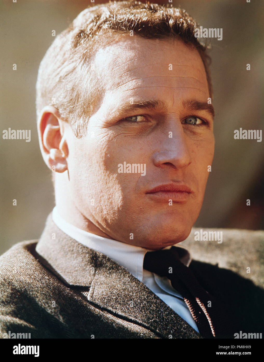 (Archivage classique du cinéma - Rétrospective) Paul Newman Paul Newman, vers 1964 référence #  31510 033THA Banque D'Images