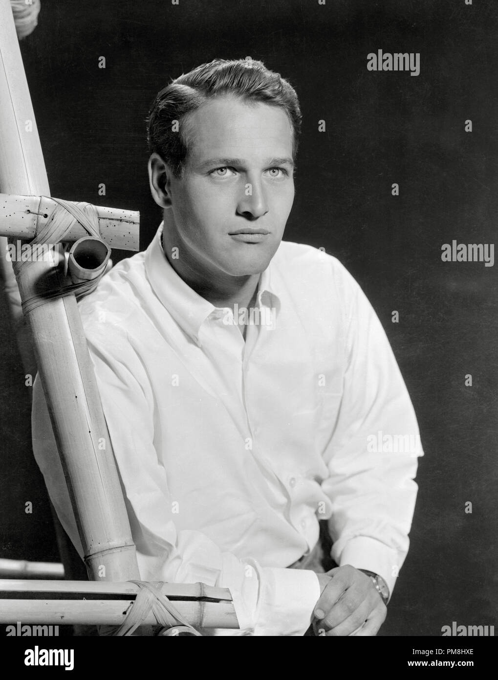 (Archivage classique du cinéma - Rétrospective) Paul Newman Paul Newman, vers 1955. Référence #  31510 Fichier 037THA Banque D'Images