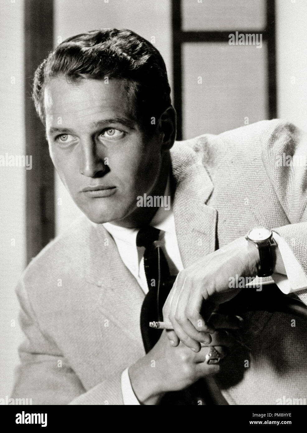 (Archivage classique du cinéma - Rétrospective) Paul Newman Paul Newman, vers 1955 référence #  31510 059THA Banque D'Images