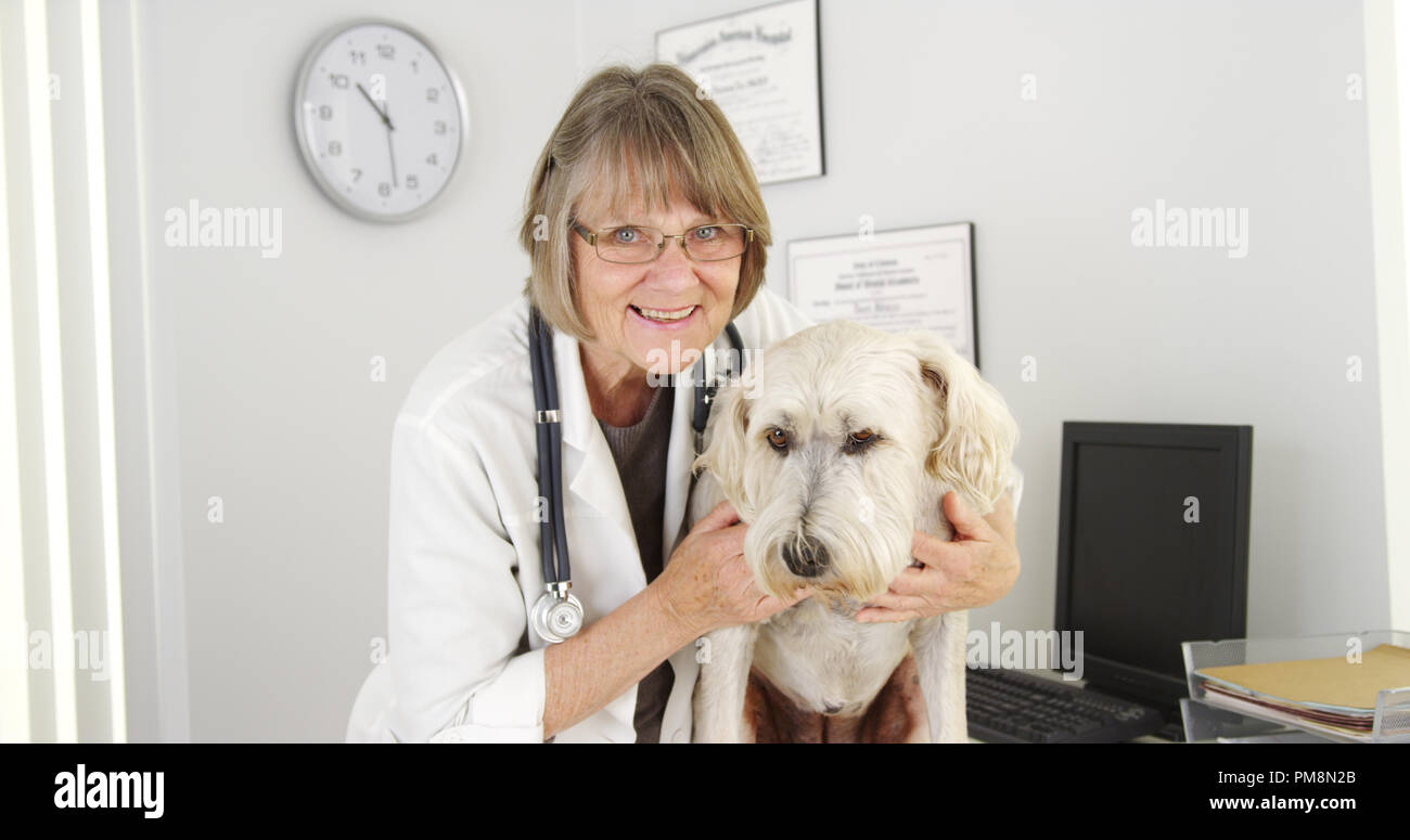 Portrait of happy female vétérinaire et mignon chien Banque D'Images