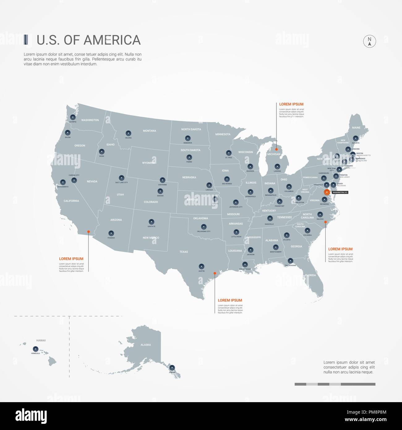 United States Of America USA Map Avec Des Fronti Res Des Villes Des United States Of America Usa Map Avec Des Frontieres Des Villes Des Capitaux Et Des Divisions Administratives Infographie Carte Vectorielle Couches Modifiables Clairement Etiquetes Pm8p8m
