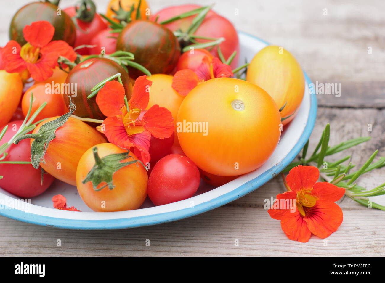 Solanum lycopersicum. Variétés fraîchement récolté de heirloom tomatoes avec fleurs de capucines comestibles et de romarin dans un plat en émail Banque D'Images