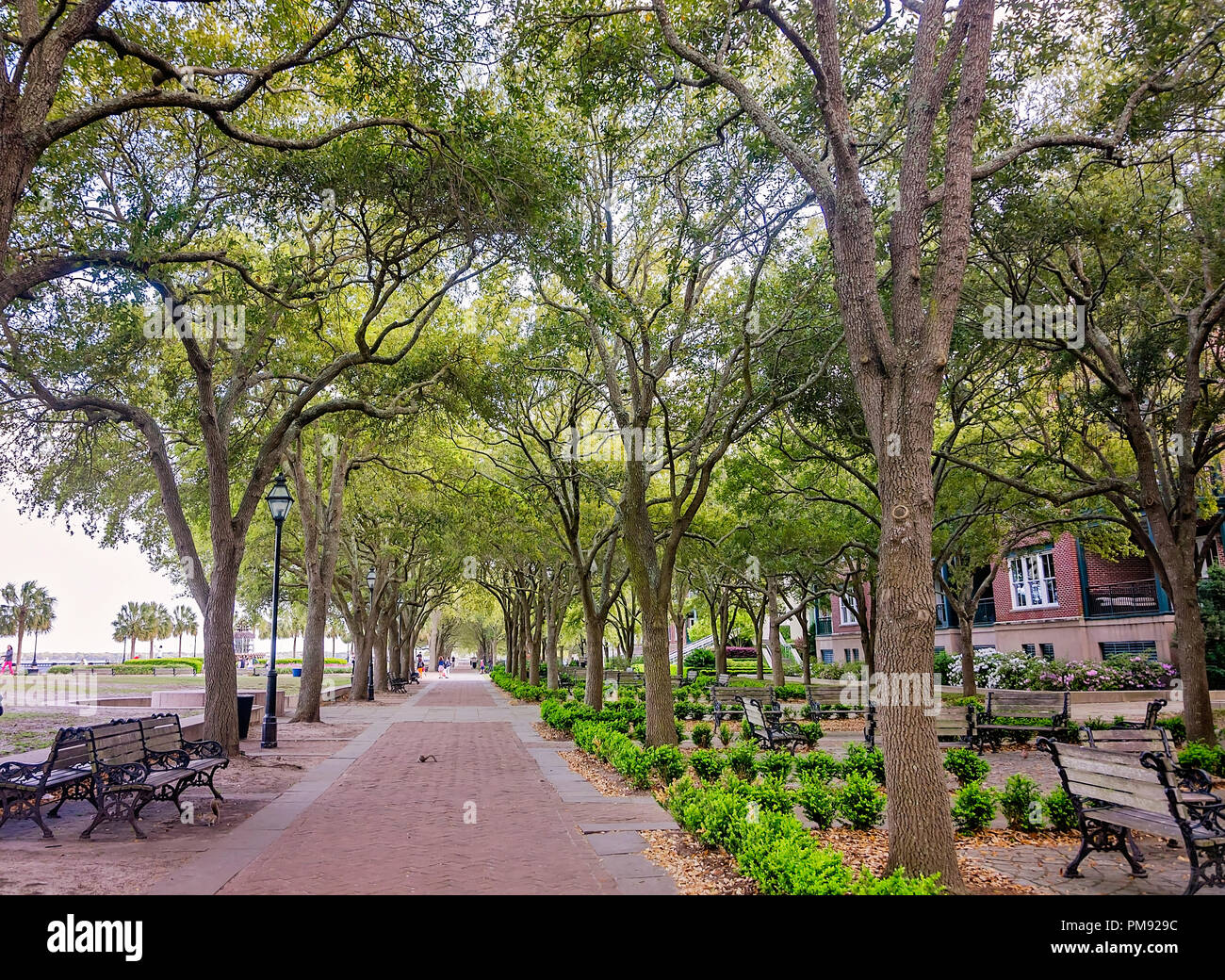 Les trottoirs bordés d'border Waterfront Park, le 5 avril 2015, à Charleston, Caroline du Sud. Banque D'Images
