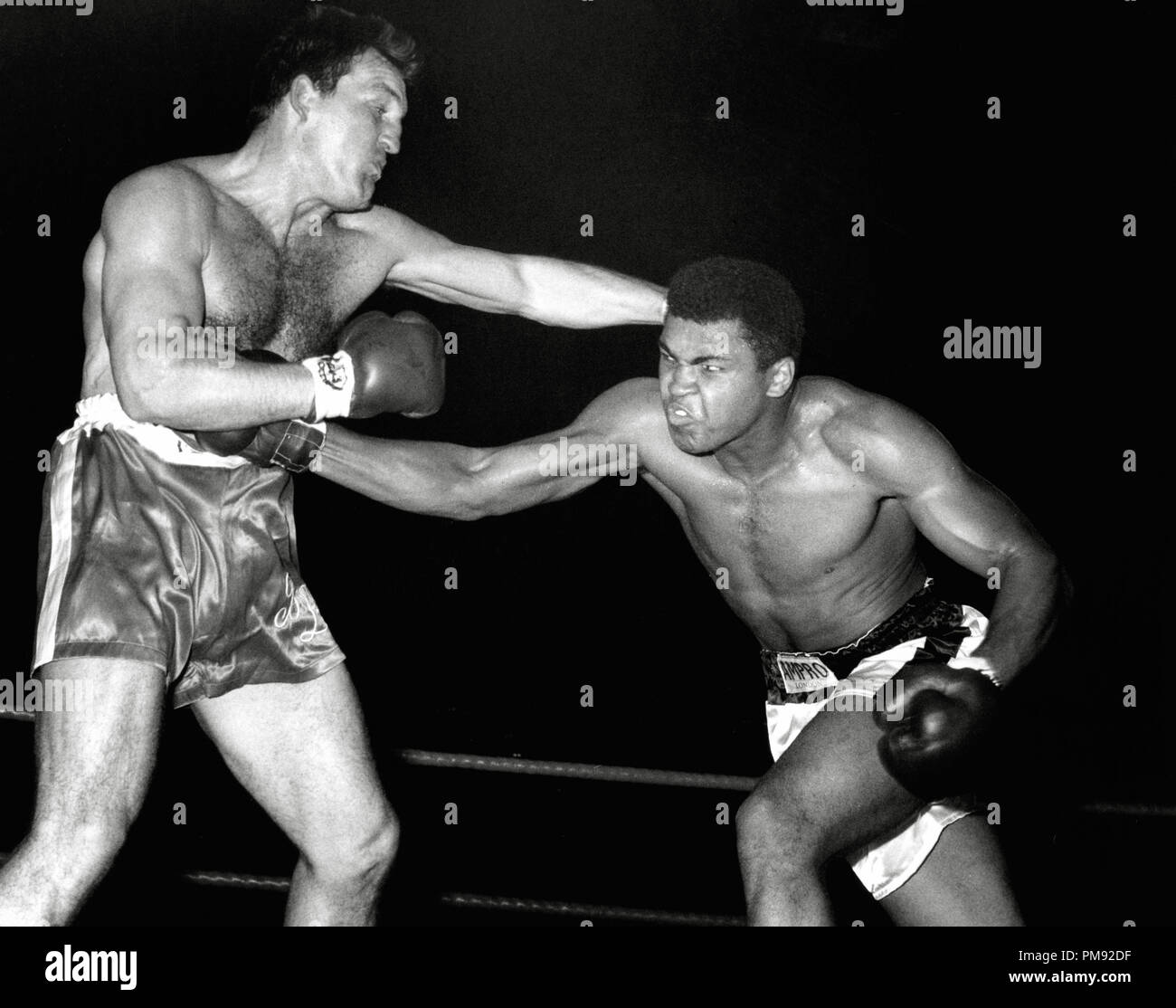 Champion de boxe Cassius Clay dans l'anneau avec Brian London au Royaume-Uni, 1966. Référence de fichier #  31537 191 © CCR /Le Archive-All Hollywood Droits Réservés Banque D'Images