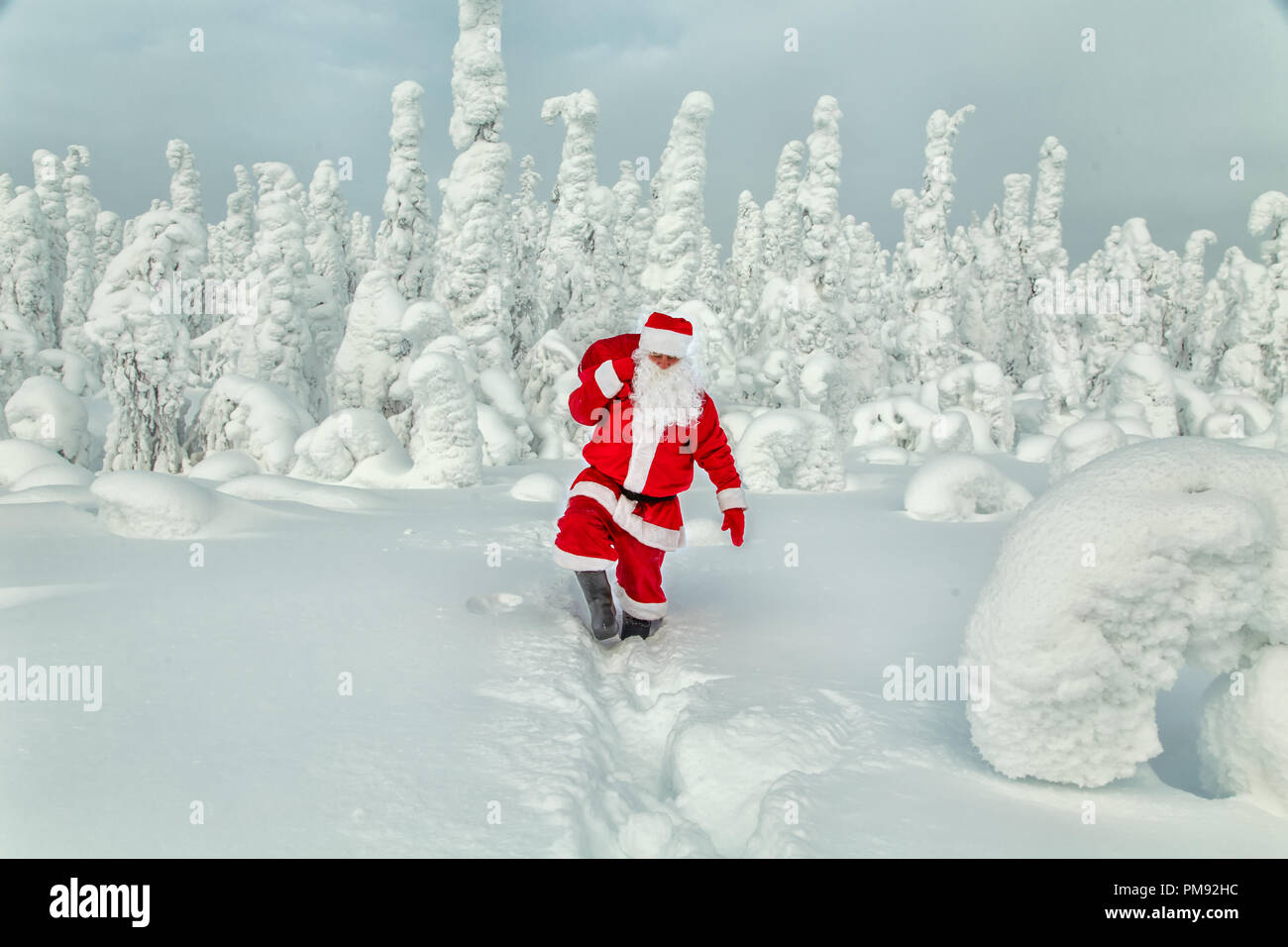 Le Pere Noel En Laponie Authentique Magnifique Paysage Enneige Photo Stock Alamy Le Pere Noel En Laponie Authentique Magnifique Paysage Enneige Photo Stock Alamy