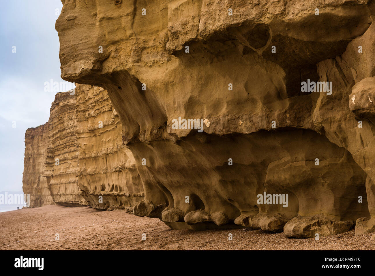 Plage de la ruche, Burton Bradstock, Dorset, UK Banque D'Images