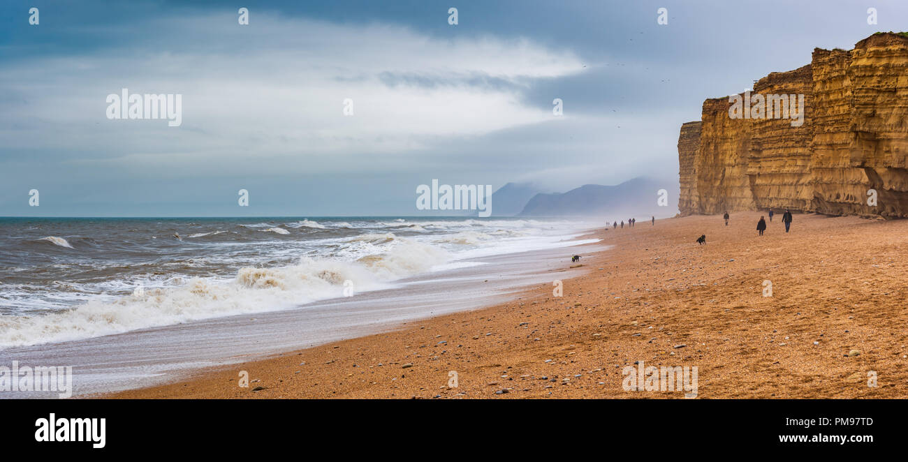 Plage de la ruche, Burton Bradstock, Dorset, UK Banque D'Images