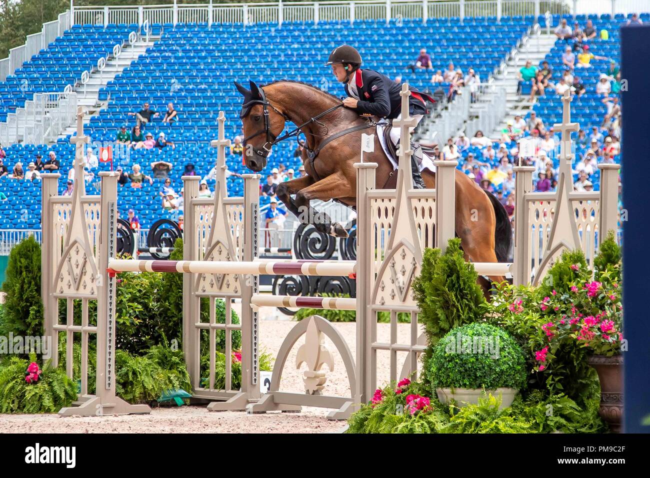 Tom Mcewan. Toledo de Kerser. GBR. Jour 6 Concours complet Saut d'obstacles. Les Jeux équestres mondiaux. WEG 2018 Tryon. La Caroline du Nord. USA. 17/09/2018. Banque D'Images