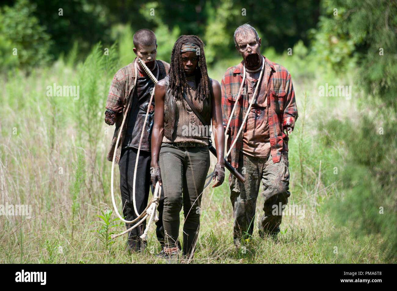 Les marcheurs et Michonne (Danai Gurira) - The Walking Dead - Saison 4, épisode  9 - Crédit photo : La page des gènes/AMC Photo Stock - Alamy
