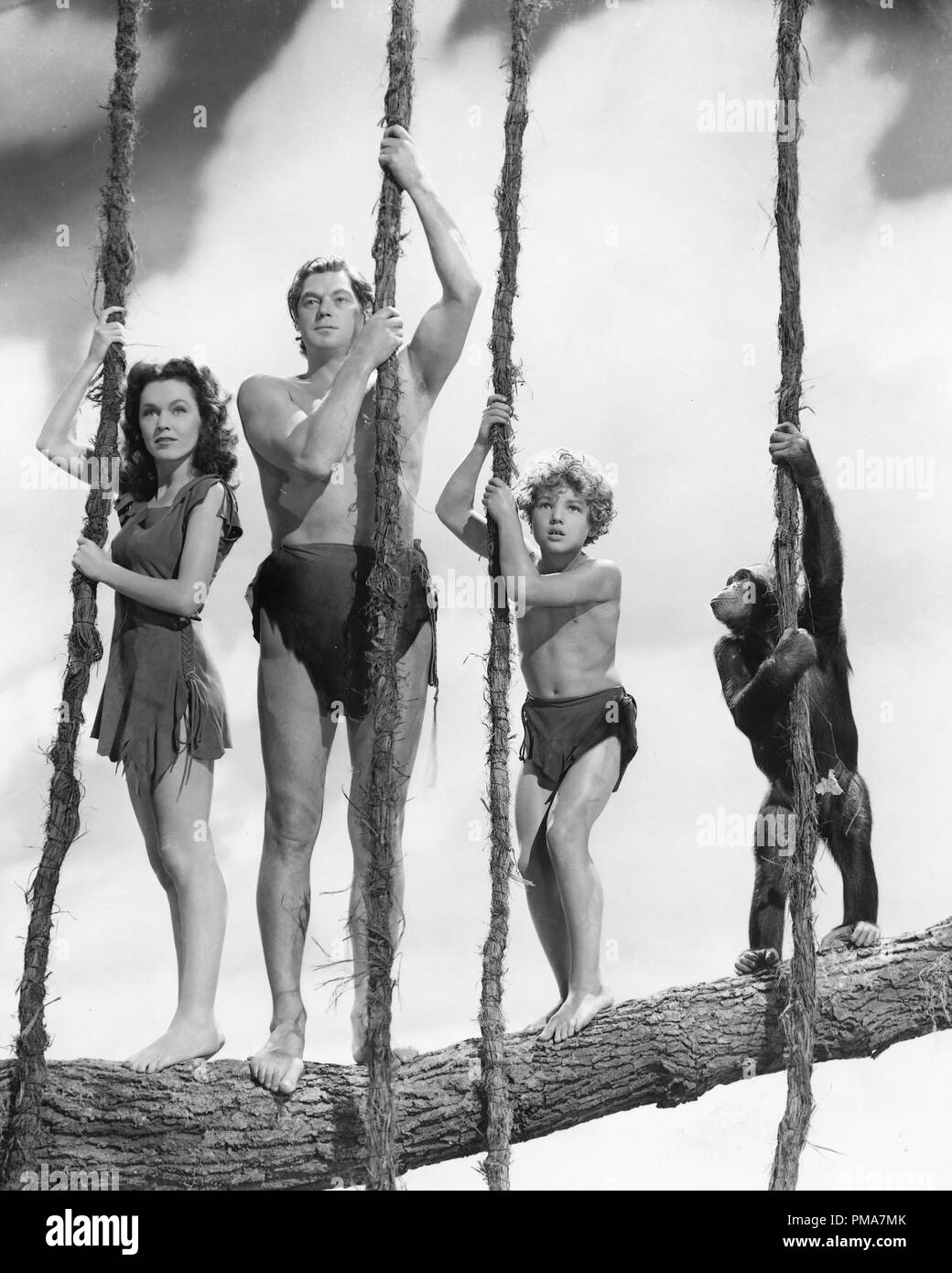 Johnny Weissmuller, Maureen O'Sullivan, Johnny Sheffield, 'Tarzan trouve un fils !', 1939 Référence de dossier MGM 32263_651THA Banque D'Images