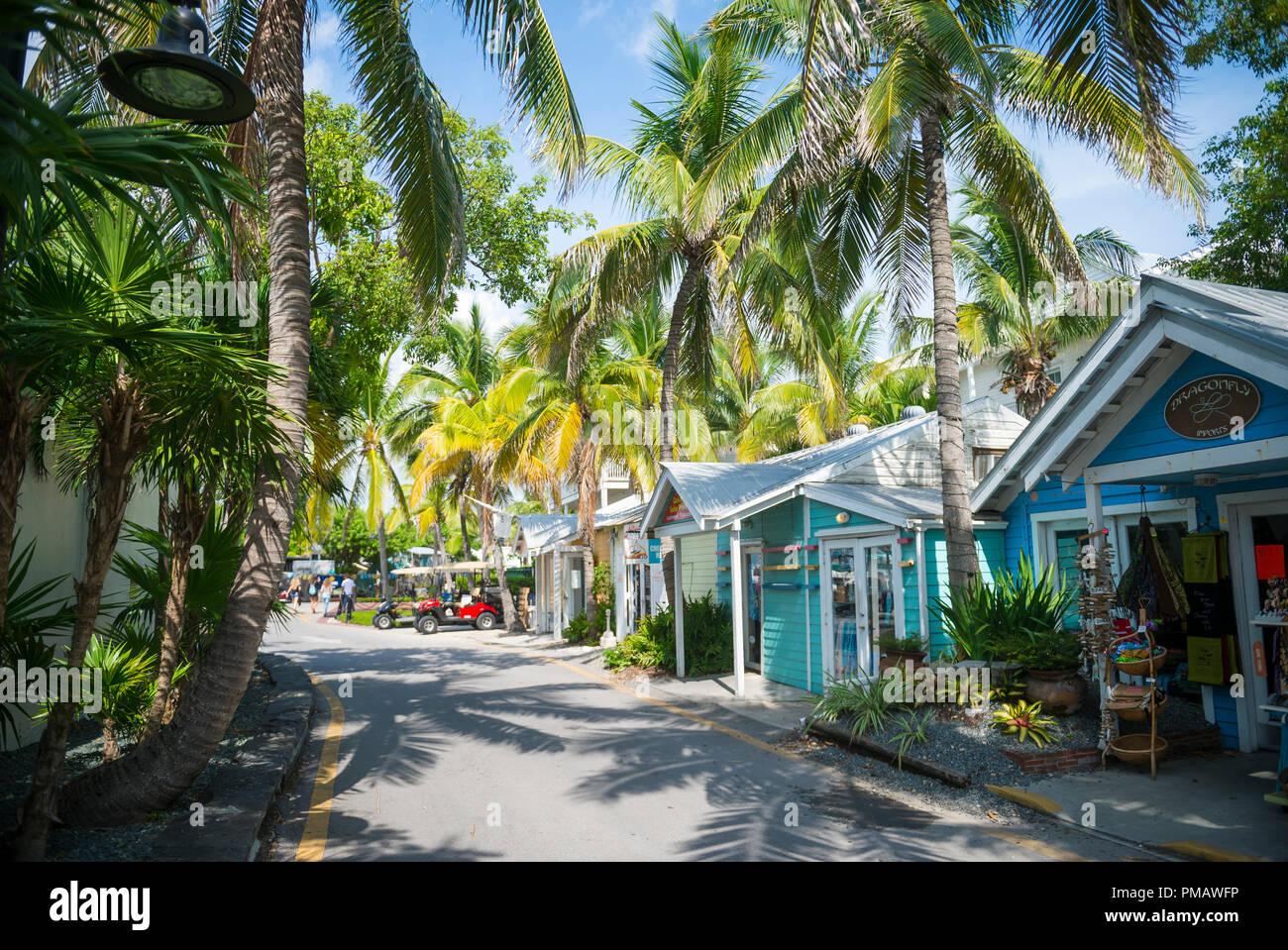 KEY WEST, États-Unis - circa 2018 SEPTEMBRE : palm et pittoresque au bord de l'eau bordée de cabane à street Banque D'Images
