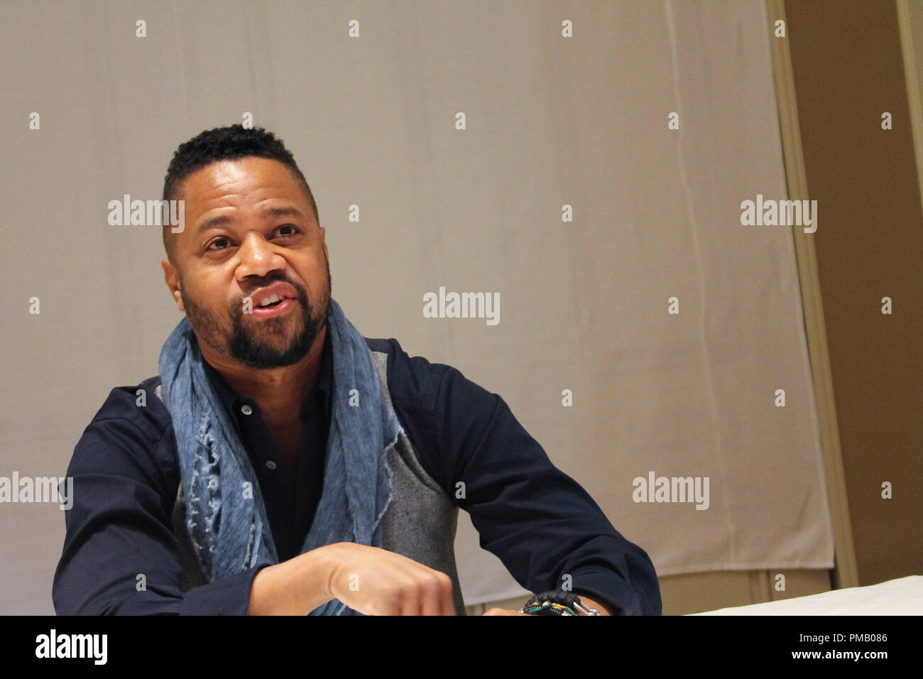 Cuba Gooding Jr. dans "Le peuple c. O.J. Simpson : American Crime Story' conférence de presse tenue le 15 janvier 2016 au Four Seasons Hotel de Beverly Hills, en Californie. Référence #  32804 Fichier 002CCR pour un usage éditorial uniquement - Tous droits réservés Banque D'Images