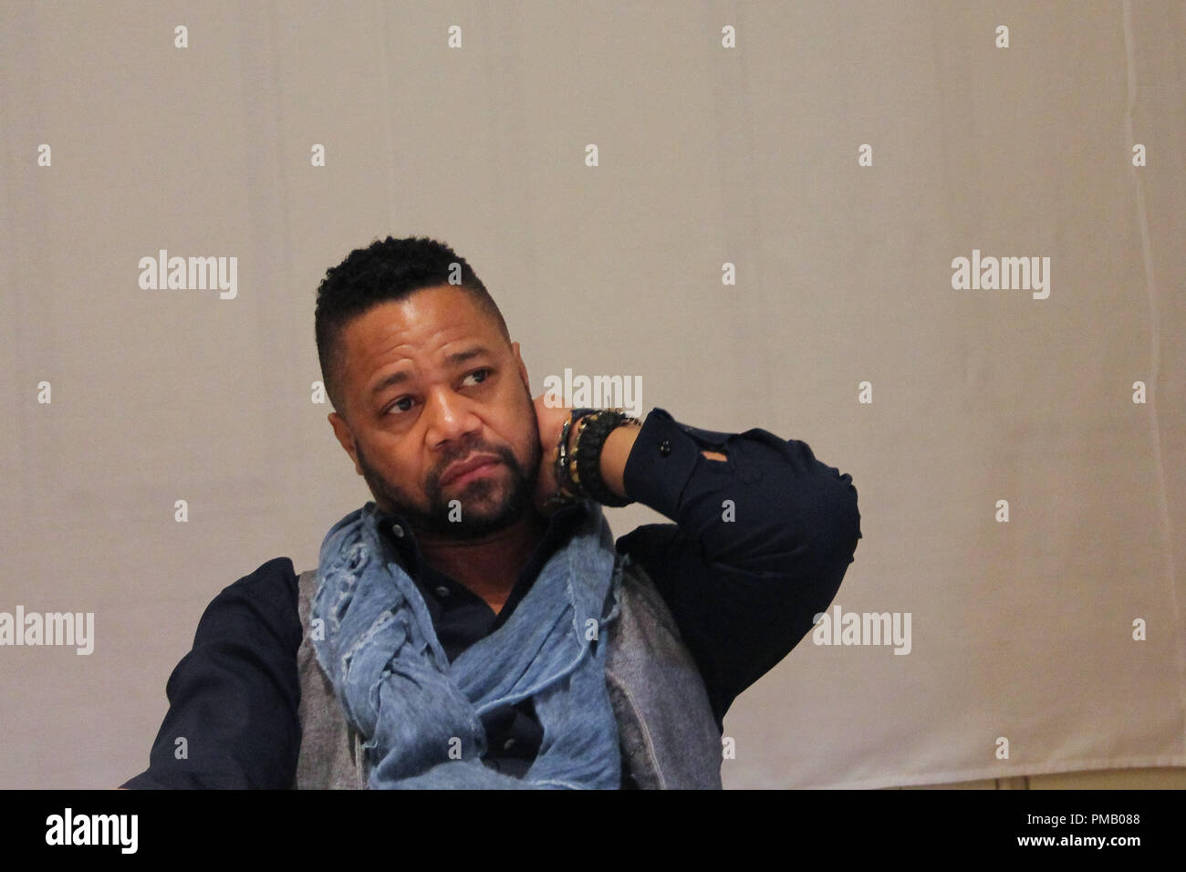 Cuba Gooding Jr. dans "Le peuple c. O.J. Simpson : American Crime Story' conférence de presse tenue le 15 janvier 2016 au Four Seasons Hotel de Beverly Hills, en Californie. Référence #  32804 Fichier 004CCR pour un usage éditorial uniquement - Tous droits réservés Banque D'Images